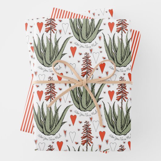 Valentijnse Aloë Planten Succulents Stripes Harten Inpakpapier Vel (In situ)