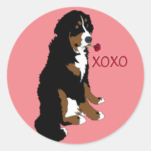 Valentijnse  Berner Berghond Ronde Sticker