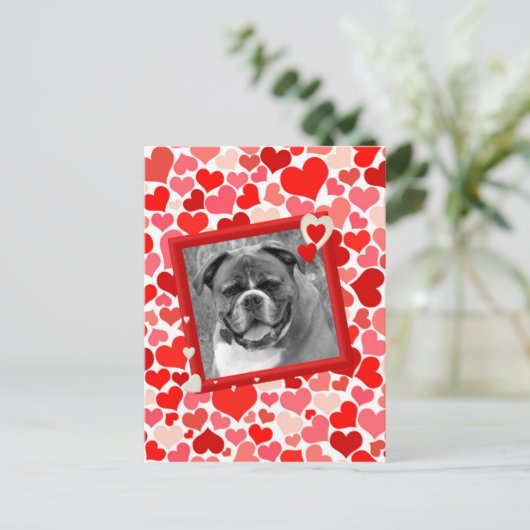 Valentijnse  Boxer Dog Hearts Feestdagenkaart (Staand voorkant)