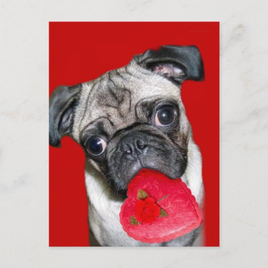 Valentijnse briefkaart (Voorkant)