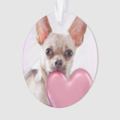 Valentijnse Chihuahua-hond acrilyc-ornament Ornament (voorkant)
