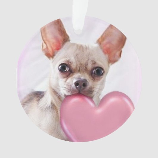Valentijnse Chihuahua-hond acrilyc-ornament Ornament (voorkant)