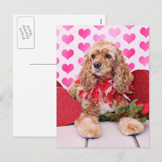 Valentijnse - Cocker Spaniel - Bella Feestdagenkaart (Voorkant / Achterkant)