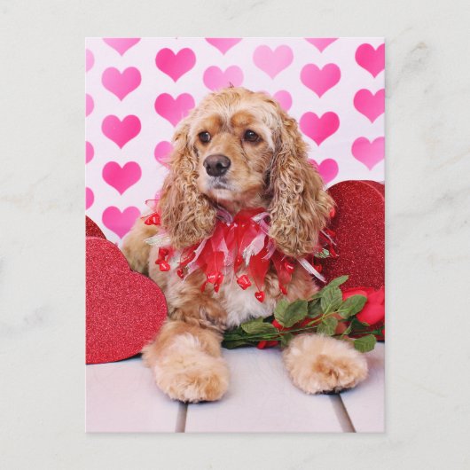 Valentijnse - Cocker Spaniel - Bella Feestdagenkaart (Voorkant)