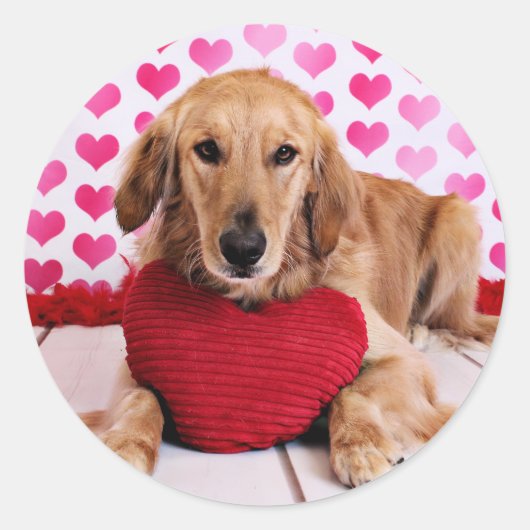 Valentijnse  - Golden Retriever - JJ Ronde Sticker (Voorkant)