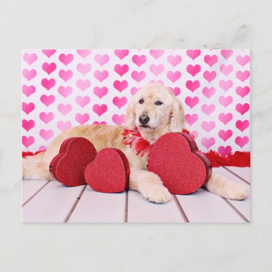 Valentijnse - GoldenDoodle - Maggie Feestdagenkaart (Voorkant)