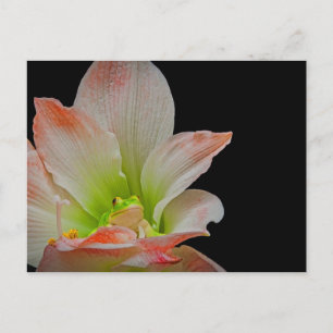 Valentijnse kikker feestdagenkaart