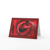 Valentijnse rode rode rode roze