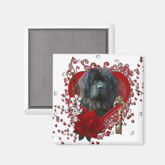 Valentijnse  - Sleutel tot Mijn Hart - Newfoundlan Magneet (Voorkant / Achterkant)