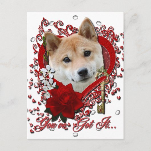 Valentijnse  - Sleutel tot mijn hart - Shiba Inu Feestdagenkaart (Voorkant)