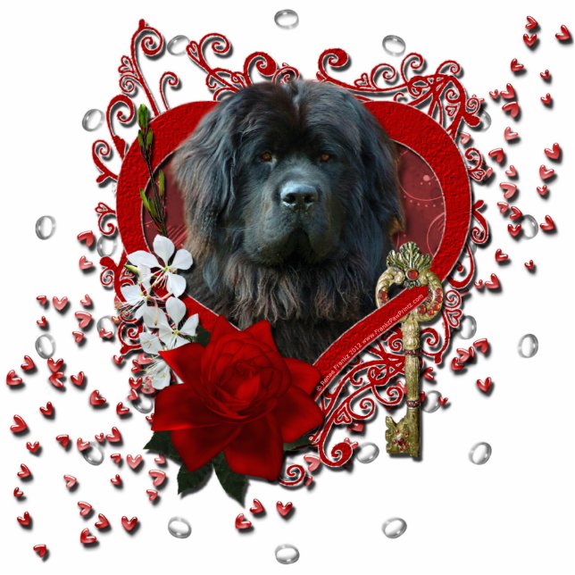 Valentijnse  - Sleutel voor Mijn hart - Newfoundla Staand Fotobeeldje (Voorkant)