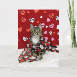 Valentijnse van Bandit - Kat / Valentijnse van Kit Feestdagen Kaart