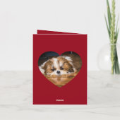 Valentijnshart shih tzu liefde Aangepaste fotonaam Kaart (Achterkant)