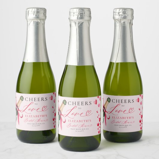 Valentijnsharten Whimsical Bubbelige Bruidsfeest Sparkling Wijnetiket (Flessen)