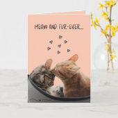 Valentijnskaart, Meow en Fur-Ever Kaart (Gele Bloem)