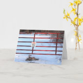 Valentijnskaart met boerderijhek kaart (Gele Bloem)