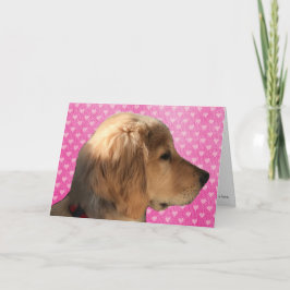 Valentijnskaart met jonge hond Golden Retriever Kaart