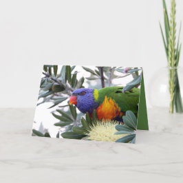 Valentijnskaart met Lorikeet Feestdagen Kaart
