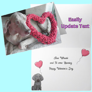 Valentijnskaart van de Weimaraner hond Rain Kaart