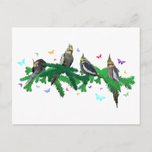 Valentijnskaart voor de valkparkiet-feestje briefkaart