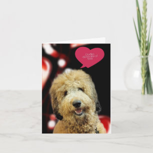 Valentijnskaart voor een schattige Doodle-hond Kaart