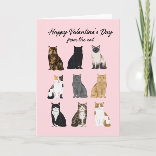 Valentijnskaart voor katten feestdagen kaart (Voorkant)