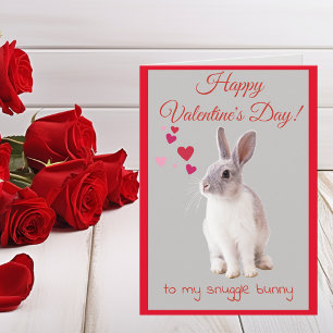 Valentijnskaart voor mijn Knuffelkonijn Feestdagen Kaart