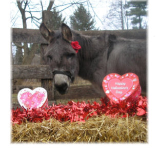 Valentijnskaart "Wees mijn Valentijn!" Feestdagen Kaart
