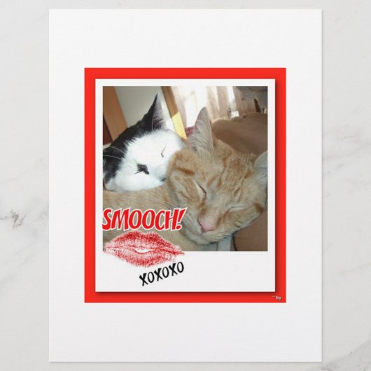 Valentijnskaarten Tabby katten Flyer (Voorkant)