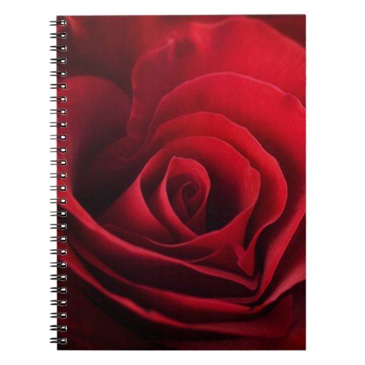Valentijnsrode roos notitieboek (Voorkant)
