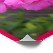 Valentine Day Roos-Poster Poster (Hoek)