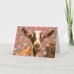 Valentine Geit Feestdagen Kaart
