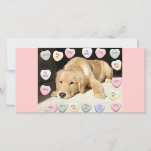 Valentine Golden Retriever Puppy Feestdagenkaart