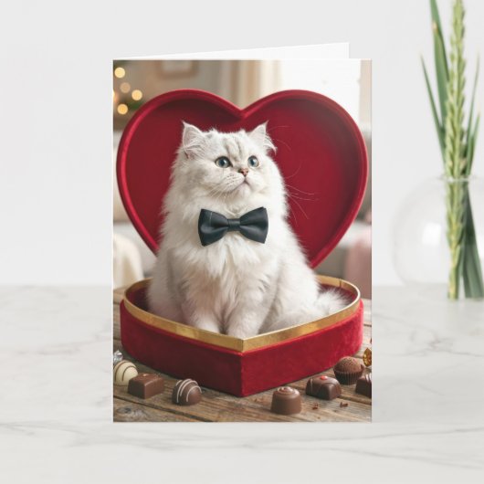 Valentine Persian Cat In Candy Box Kaart (Voorkant)
