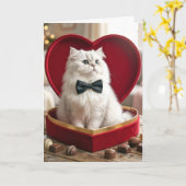 Valentine Persian Cat In Candy Box Kaart (Gele Bloem)