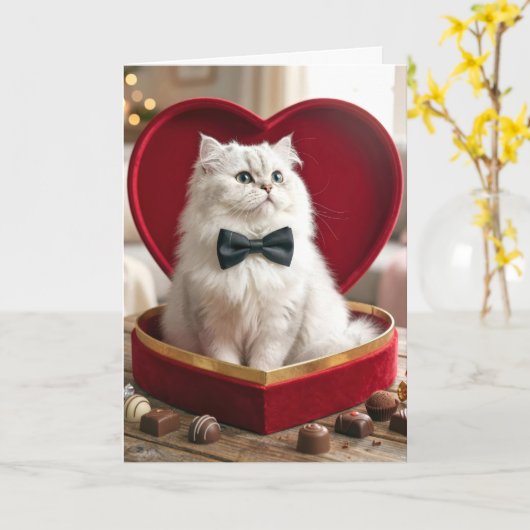 Valentine Persian Cat In Candy Box Kaart (Gele Bloem)