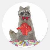 Valentine Raccoon Bandit Ronde Sticker (Voorkant)