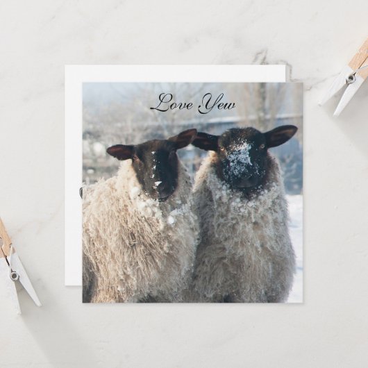 Valentine's Day Card Kaart (Voorkant / Achterkant in situ)