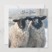 Valentine's Day Card Kaart (Voorkant)