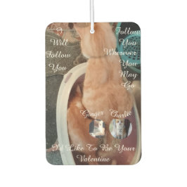 Valentine's Humor Cats Photo Text Luchtverfrisser