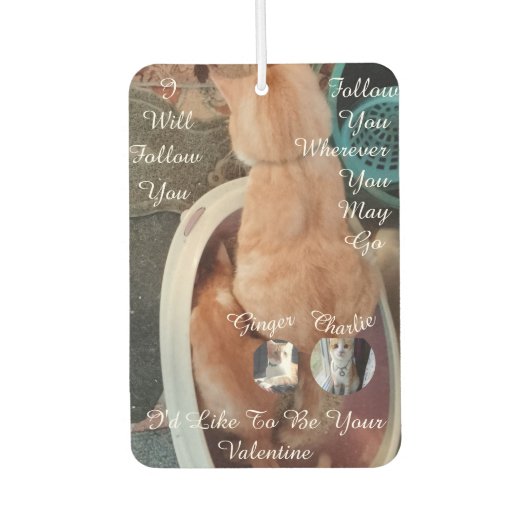 Valentine's Humor Cats Photo Text Luchtverfrisser (Voorkant)