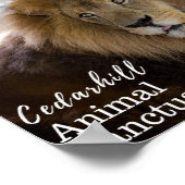 Valentino Poster (Hoek)