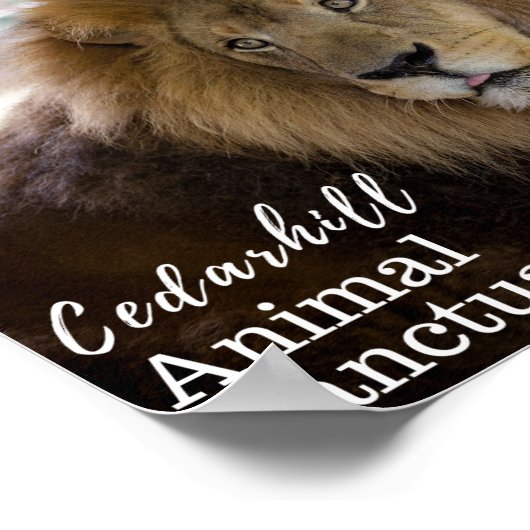 Valentino Poster (Hoek)