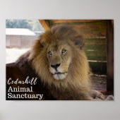 Valentino Poster (Voorkant)