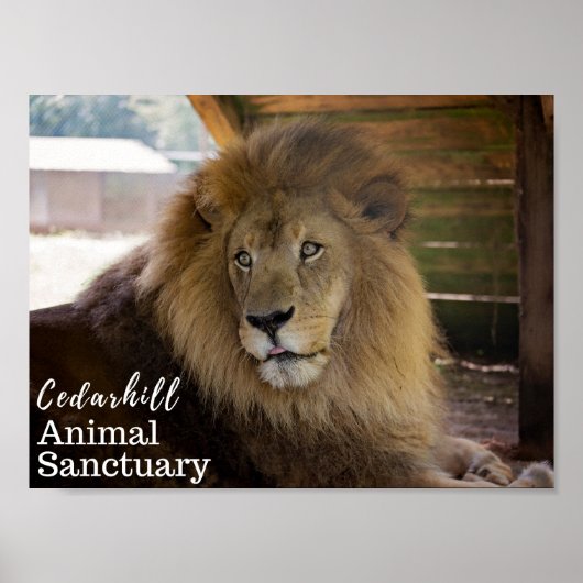 Valentino Poster (Voorkant)