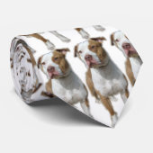 Valentino Stropdas (Opgerold)