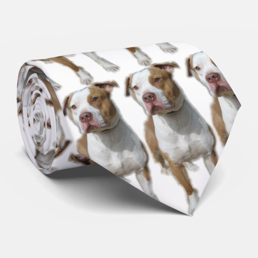 Valentino Stropdas (Opgerold)