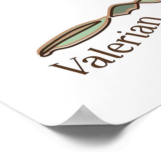 Valeriaan Poster (Hoek)