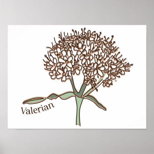 Valeriaan Poster (Voorkant)