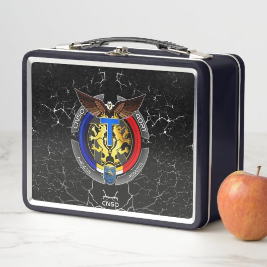 VALISETTE AIGLE 7 (In situ)